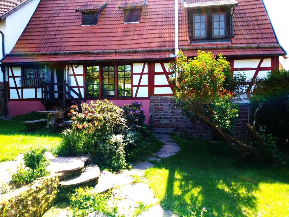 Ferienhaus Marre - Mit Grill, Feuerstelle Und Gartensauna Waldbrunn  Eksteriør billede